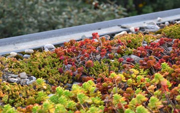 the cost of Kirbuster green roof installation
