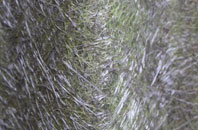 Kirbuster fibreglass roof work