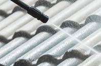 rated Kirbuster roof cleaning companies